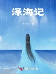 泽海记 小说